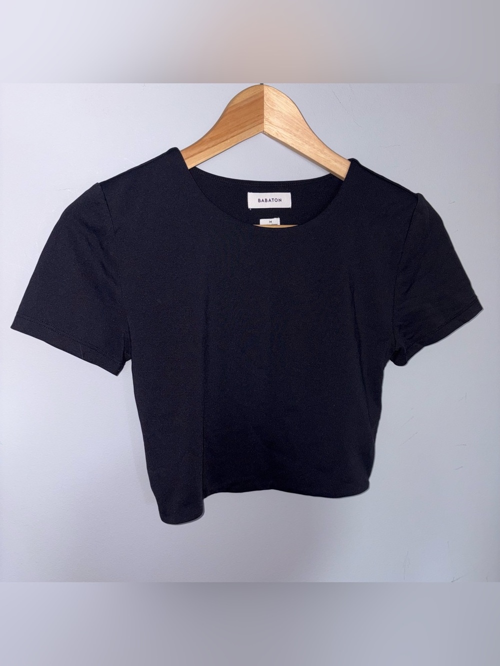 Aritzia Babaton Contour Black Short Sleeve Crew Tee